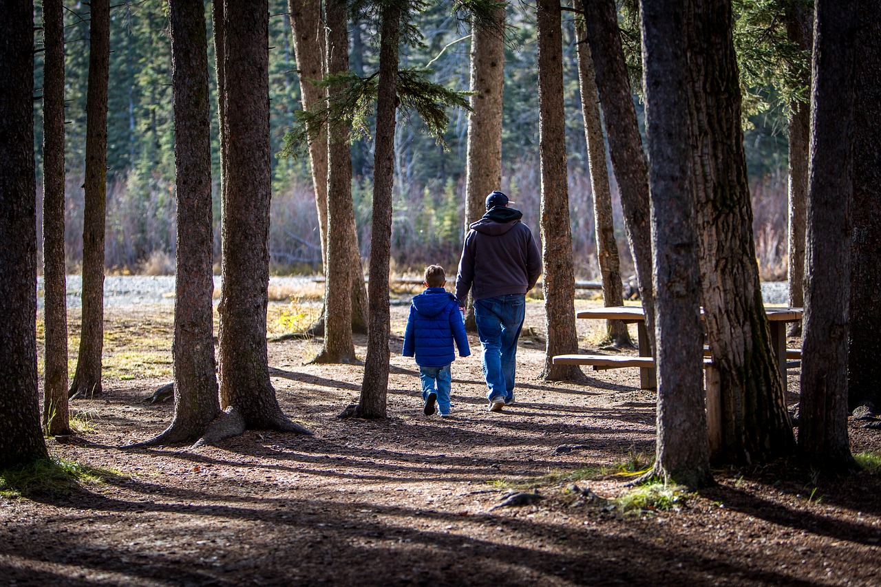 Image - family hiking father and son father