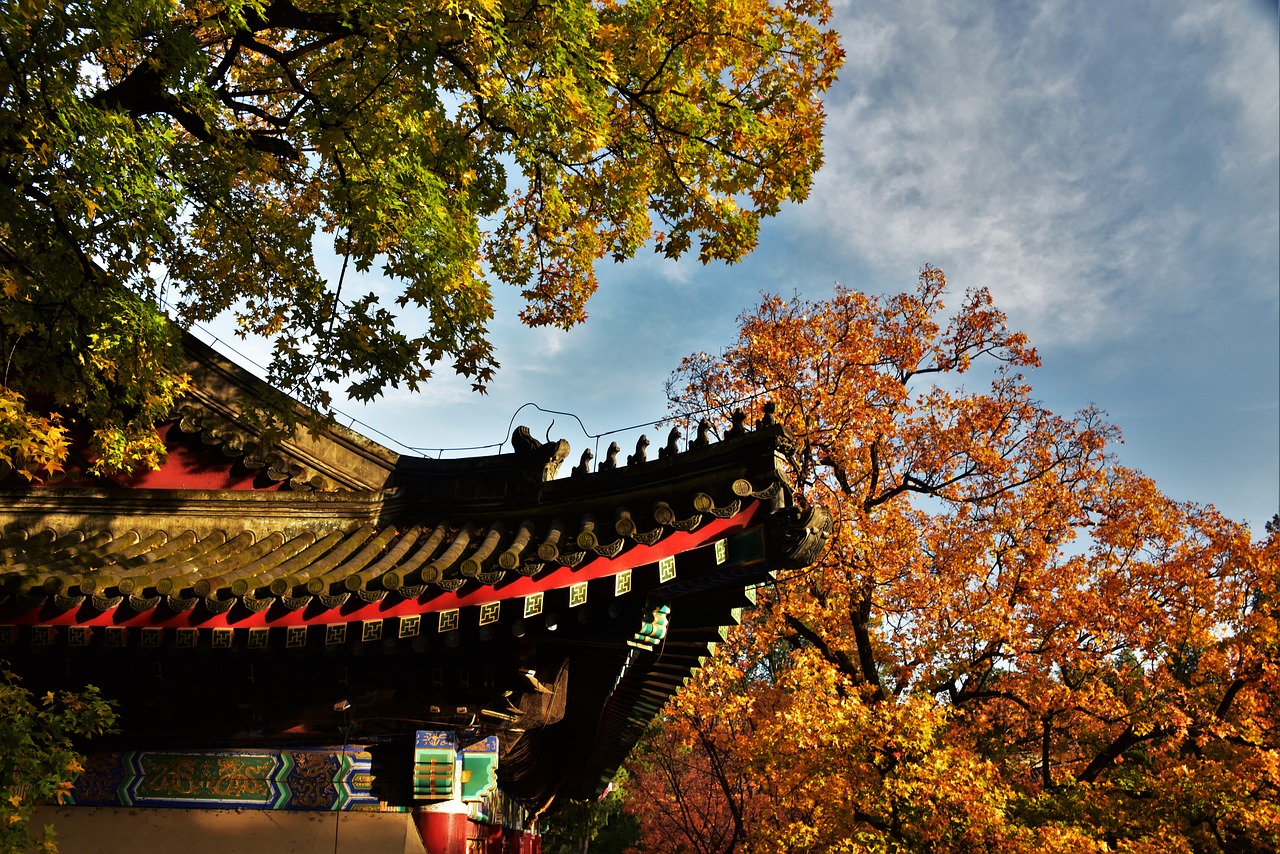 Image - autumn ancient architecture roof