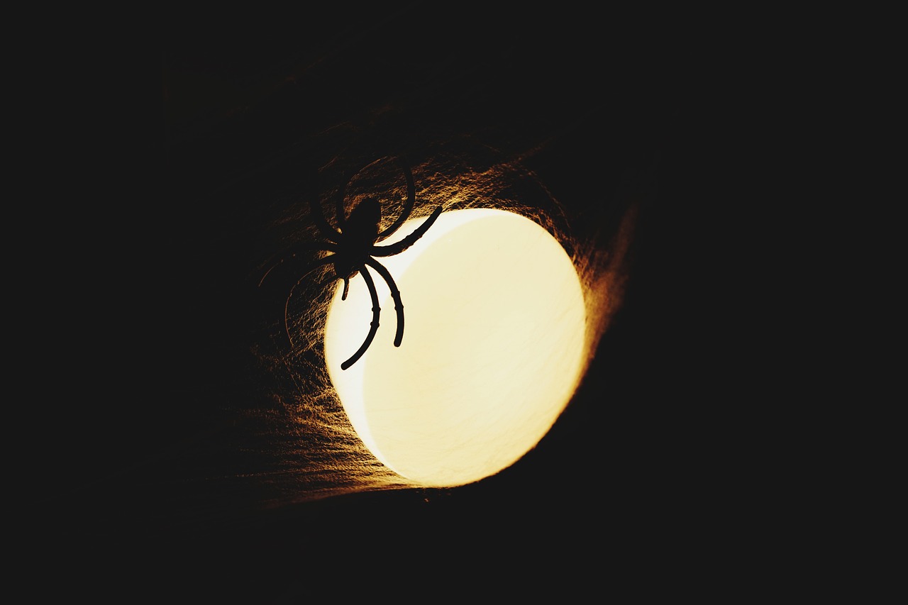 Image - lighting spider halloween