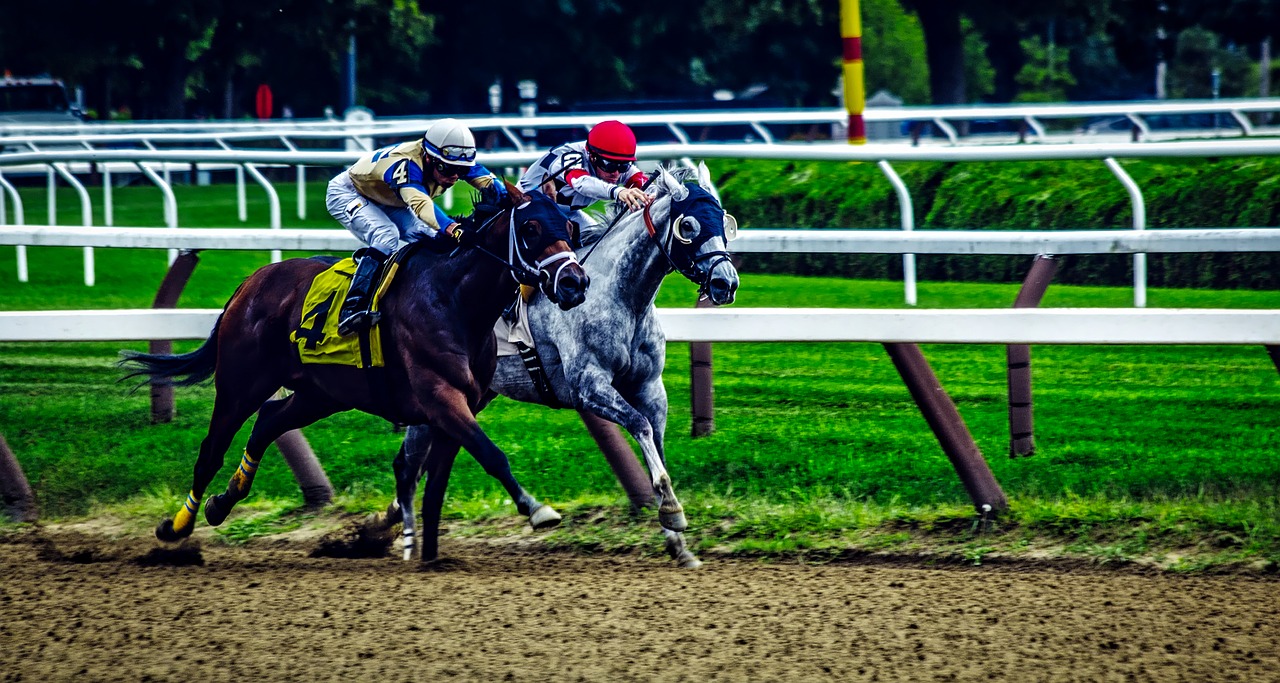 Image - saratoga springs new york horses