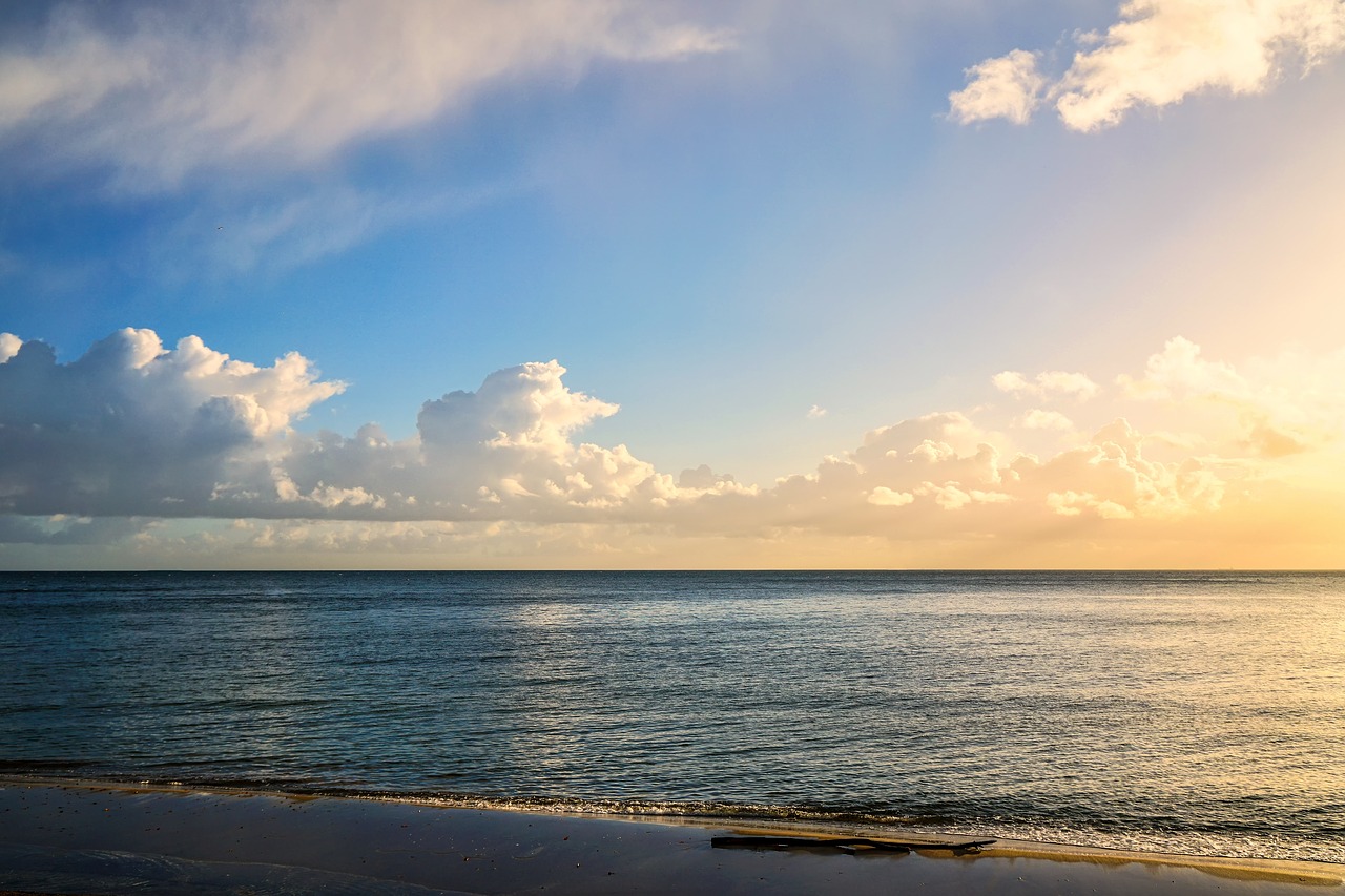 Image - seashore clouds water beach ocean