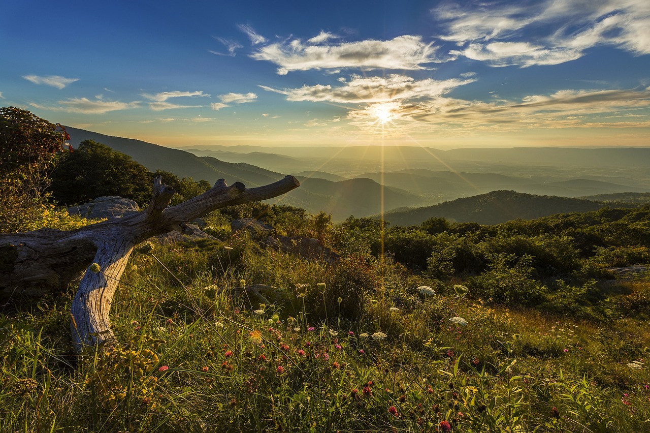 Image - sunset landscape scenic clouds sky