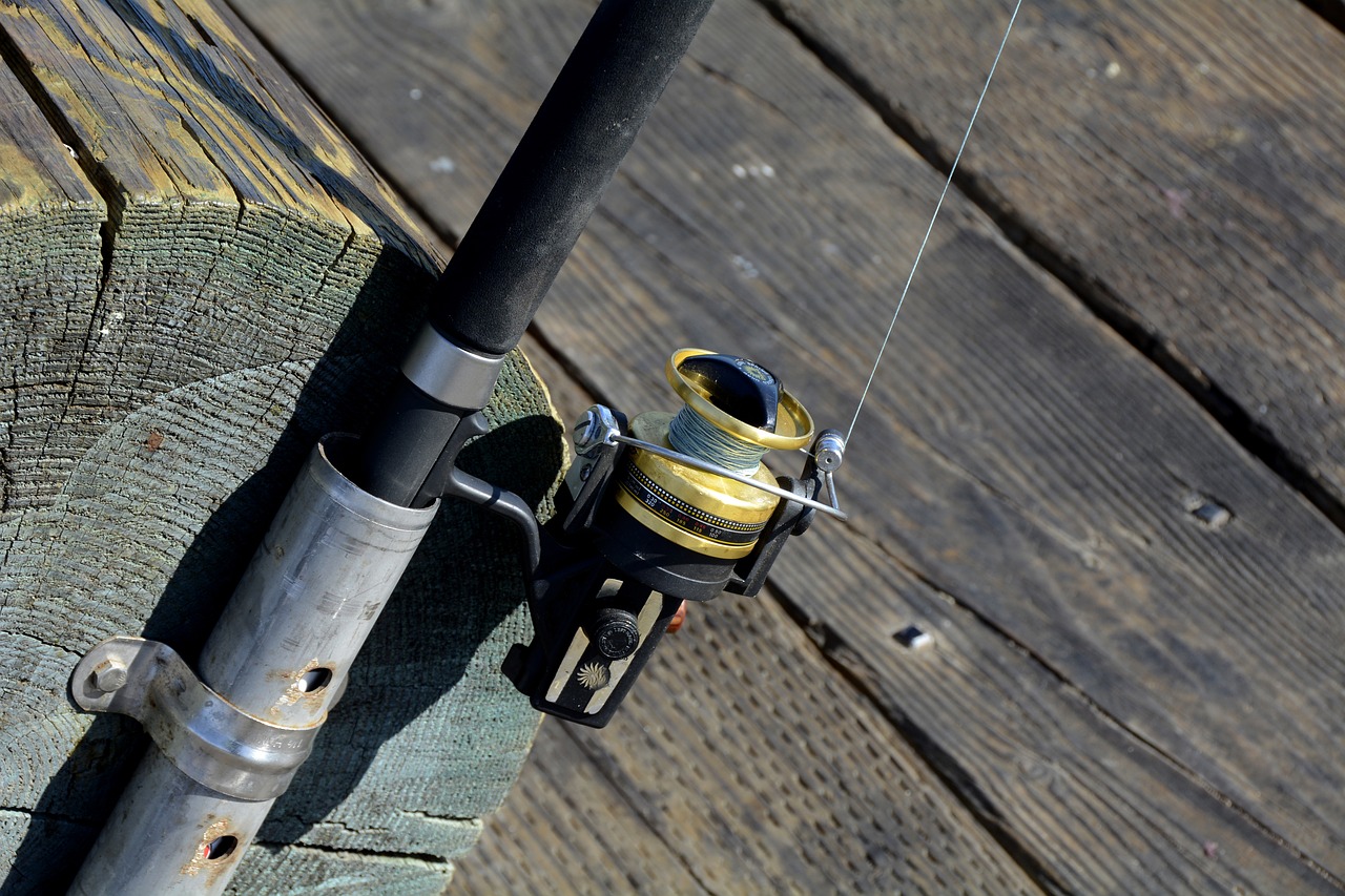 Image - fishing reel fish fishing rod hobby