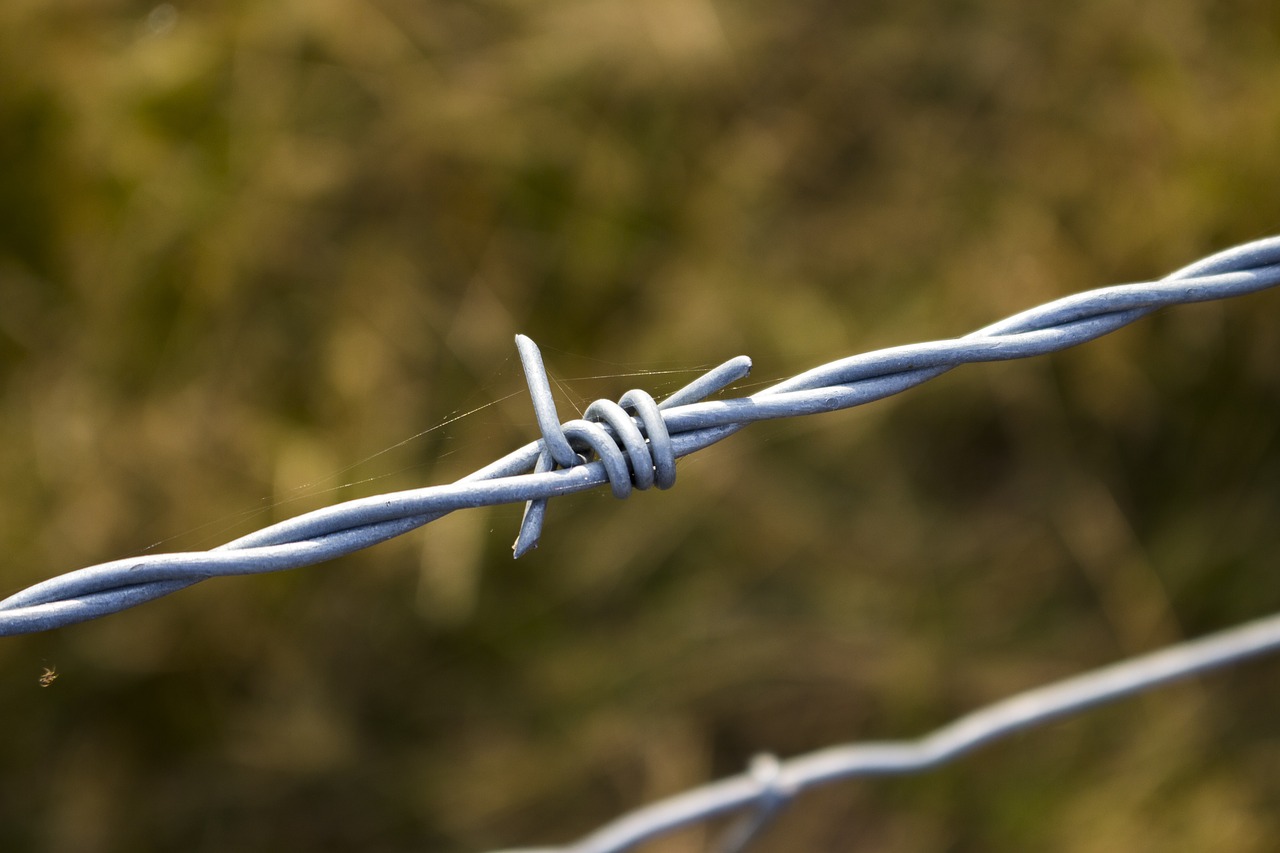 Image - sting wire fence prickly wiring