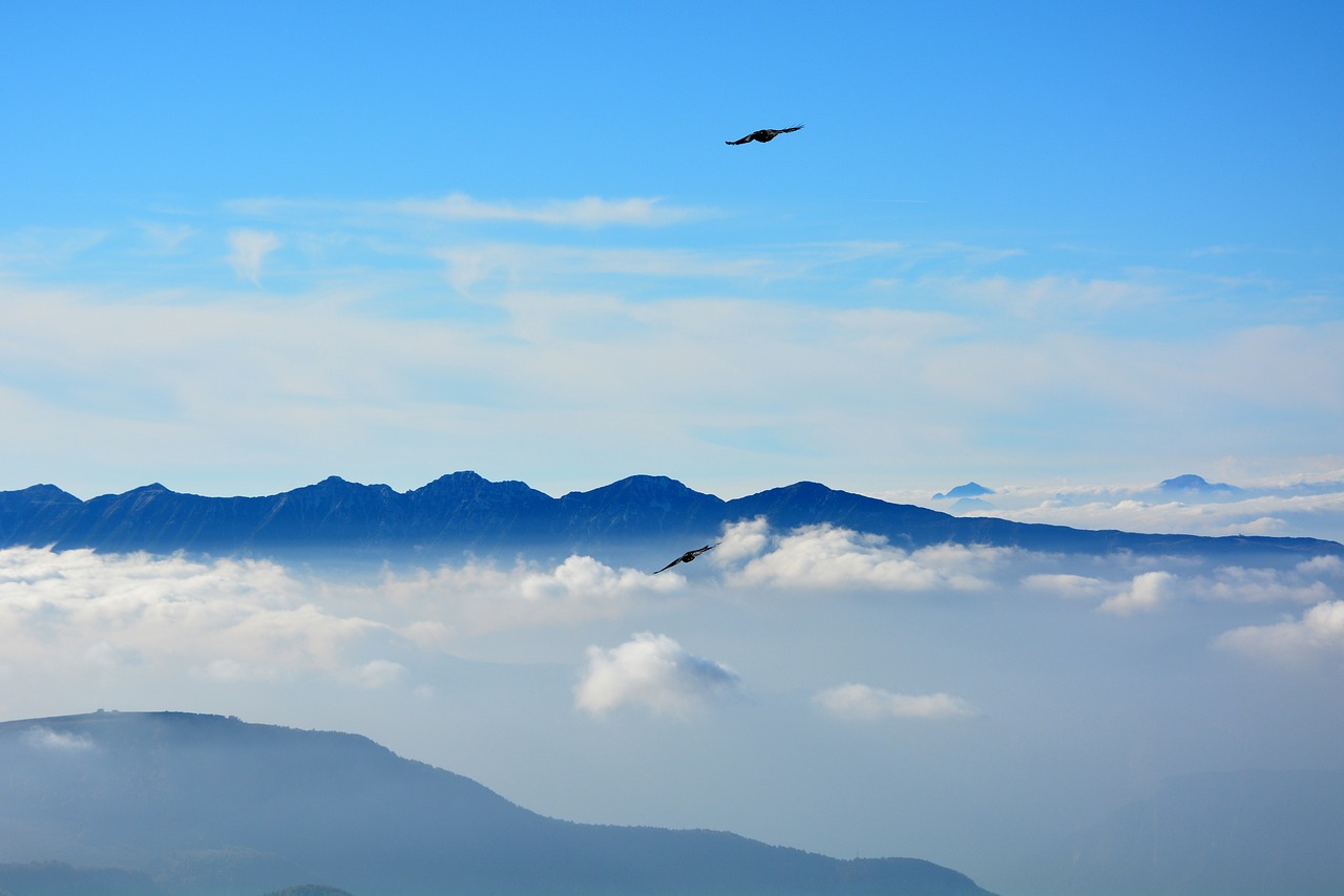 Image - fly clouds mountains sky bird