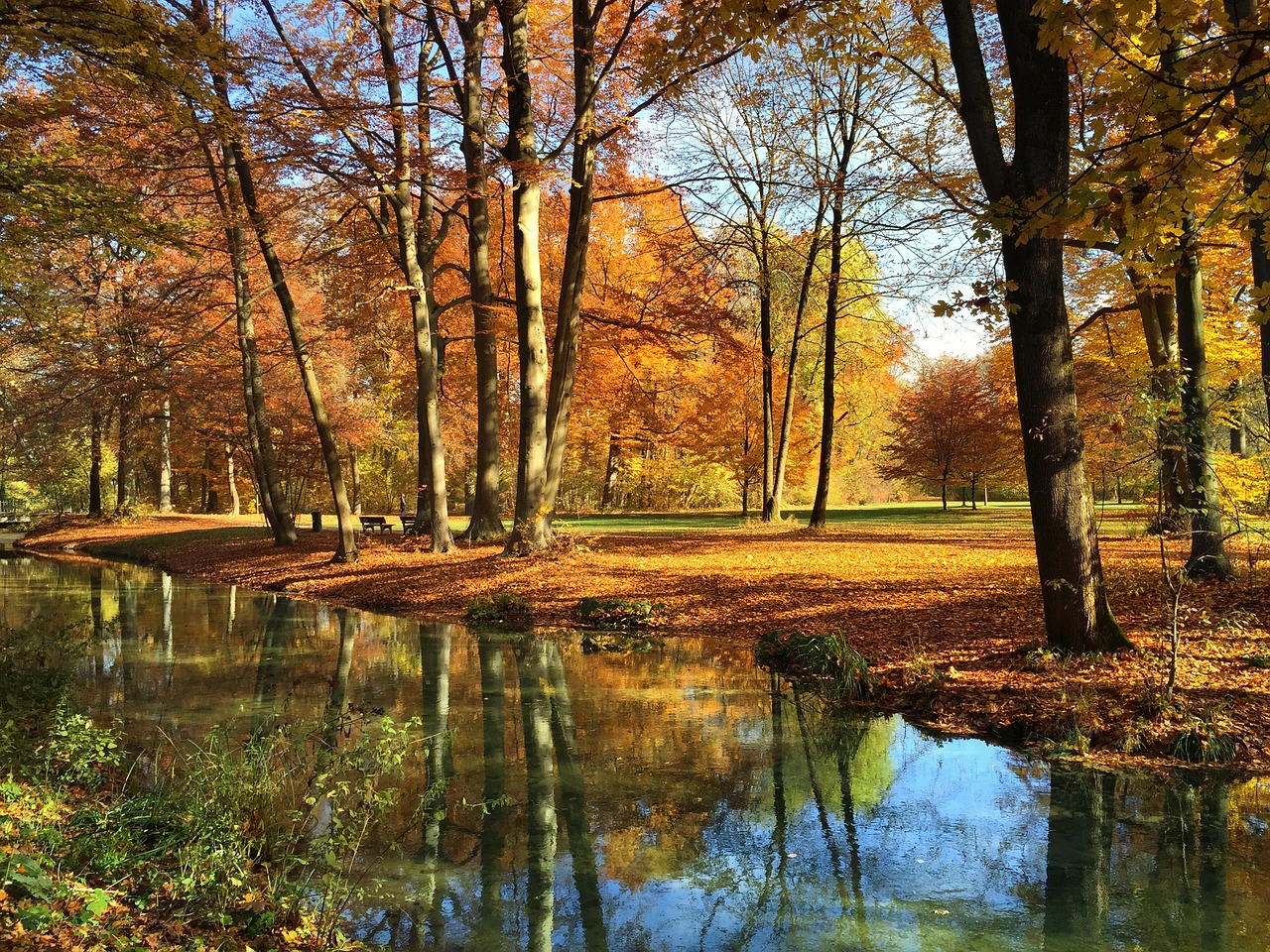 Image - munich english garden autumn