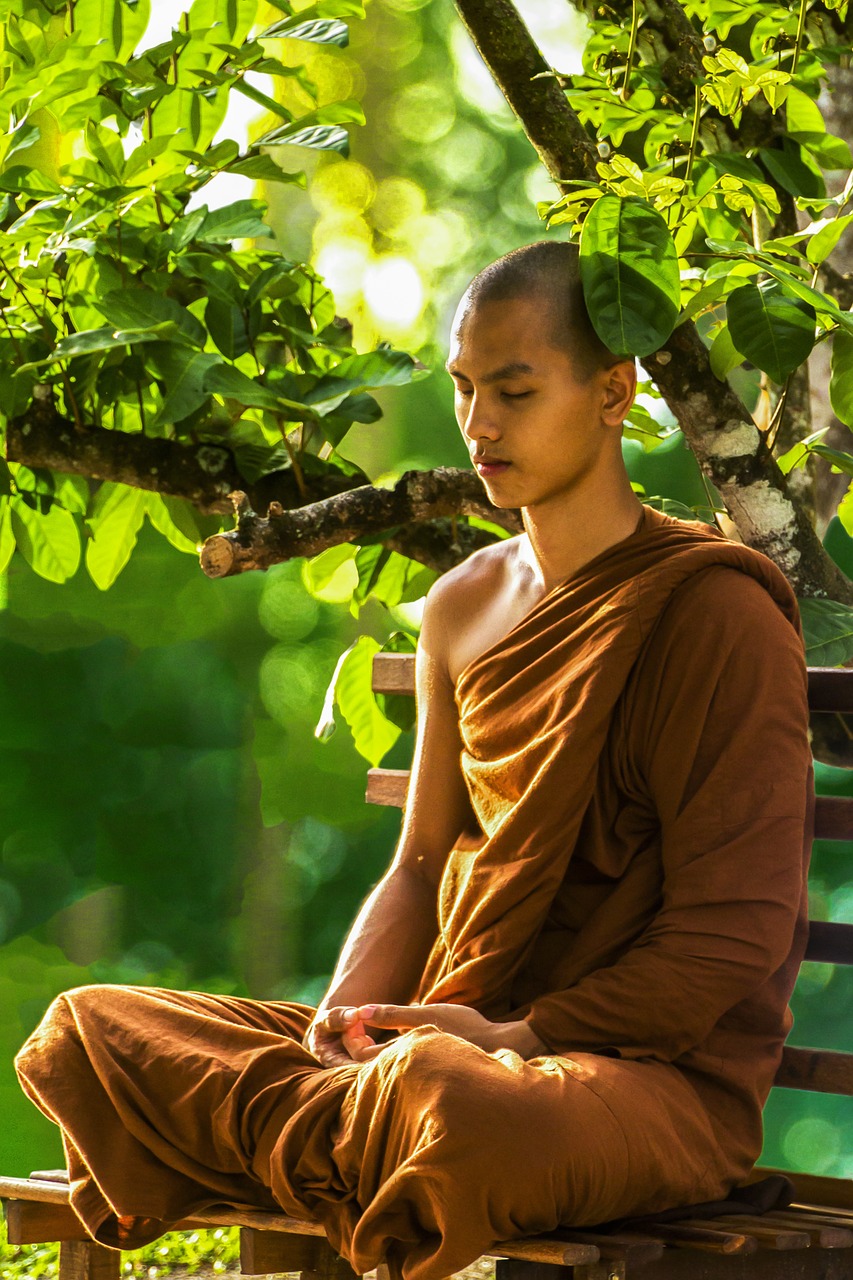 Image - meditation monk meditating