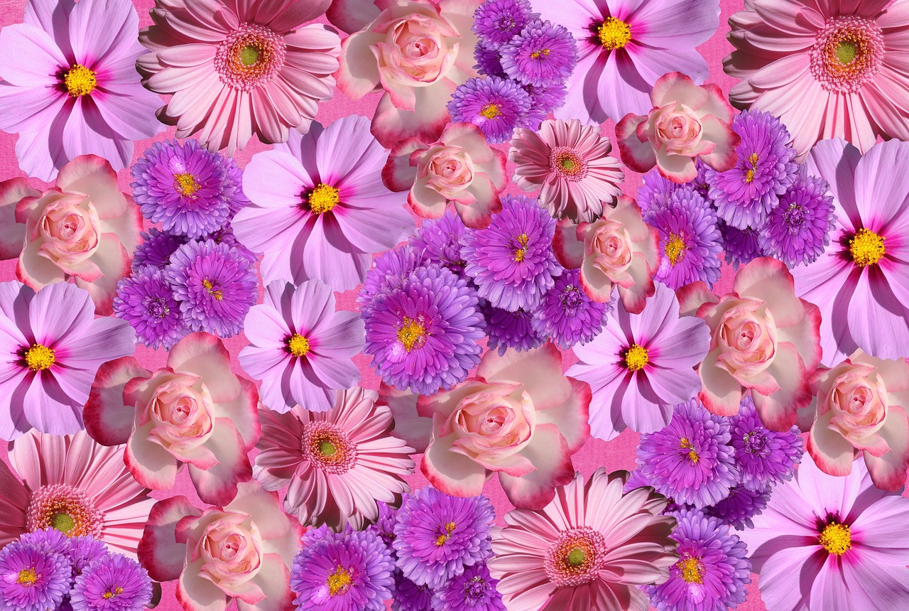 Image - flowers blossom bloom nature color