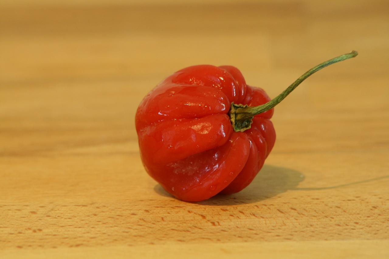 Image - chilli red kitchen sharp pods