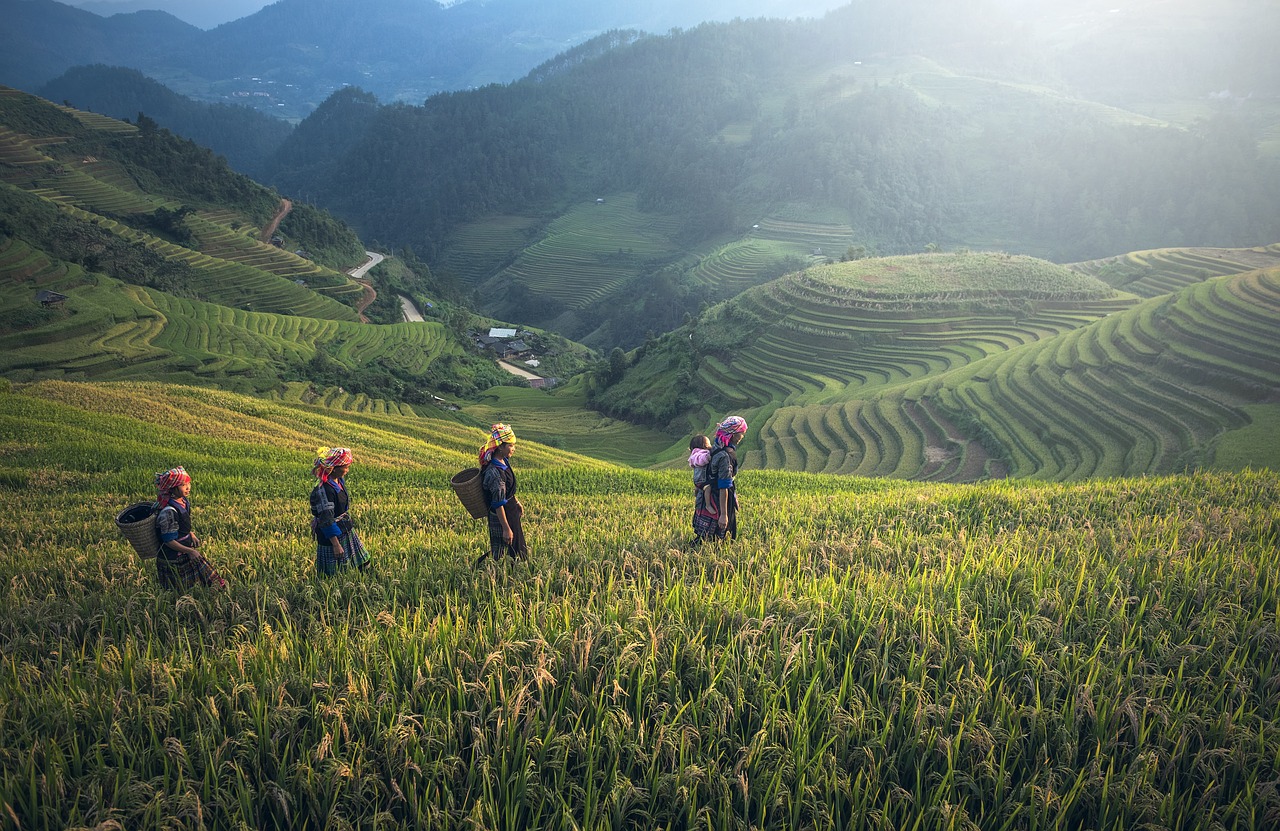 Image - agriculture asia bali cambodia