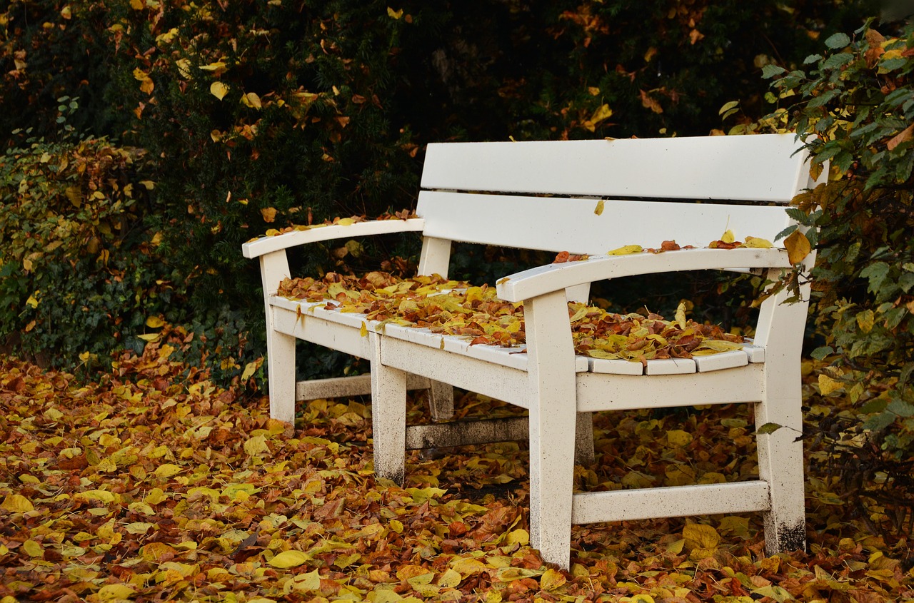 Image - park bench autumn leaf fall park