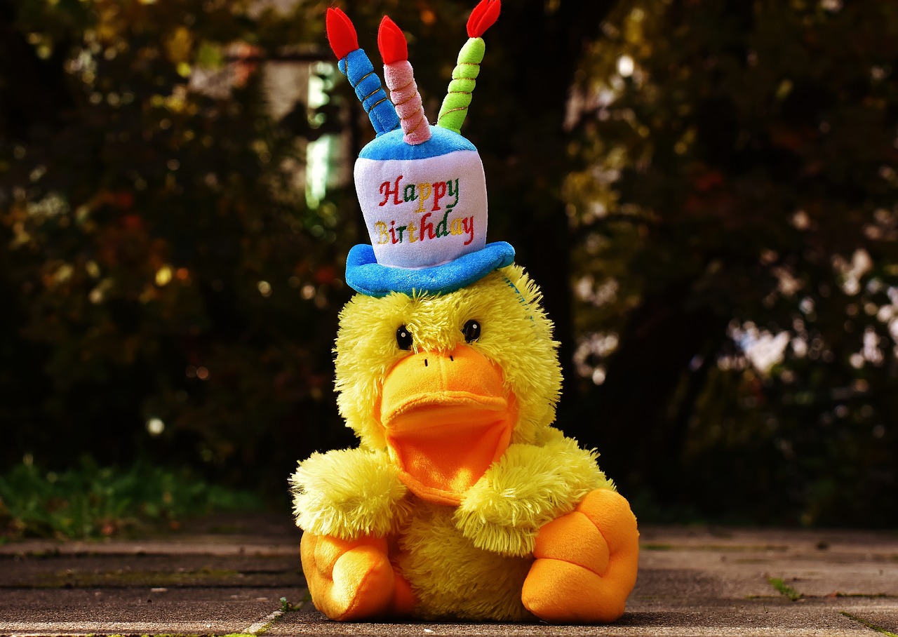 Image - birthday congratulations duck