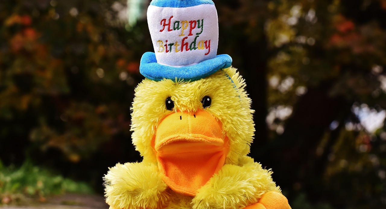 Image - birthday congratulations duck