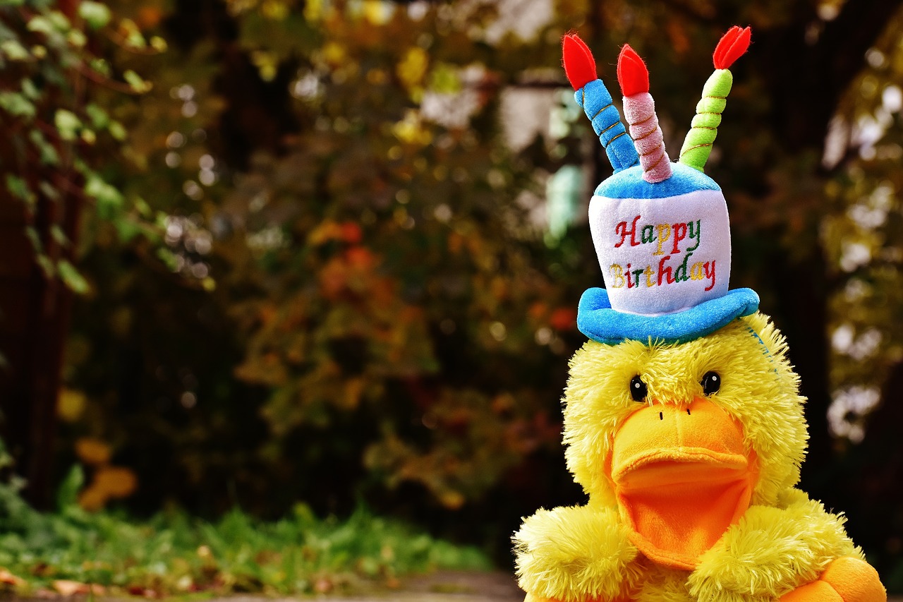 Image - birthday congratulations duck