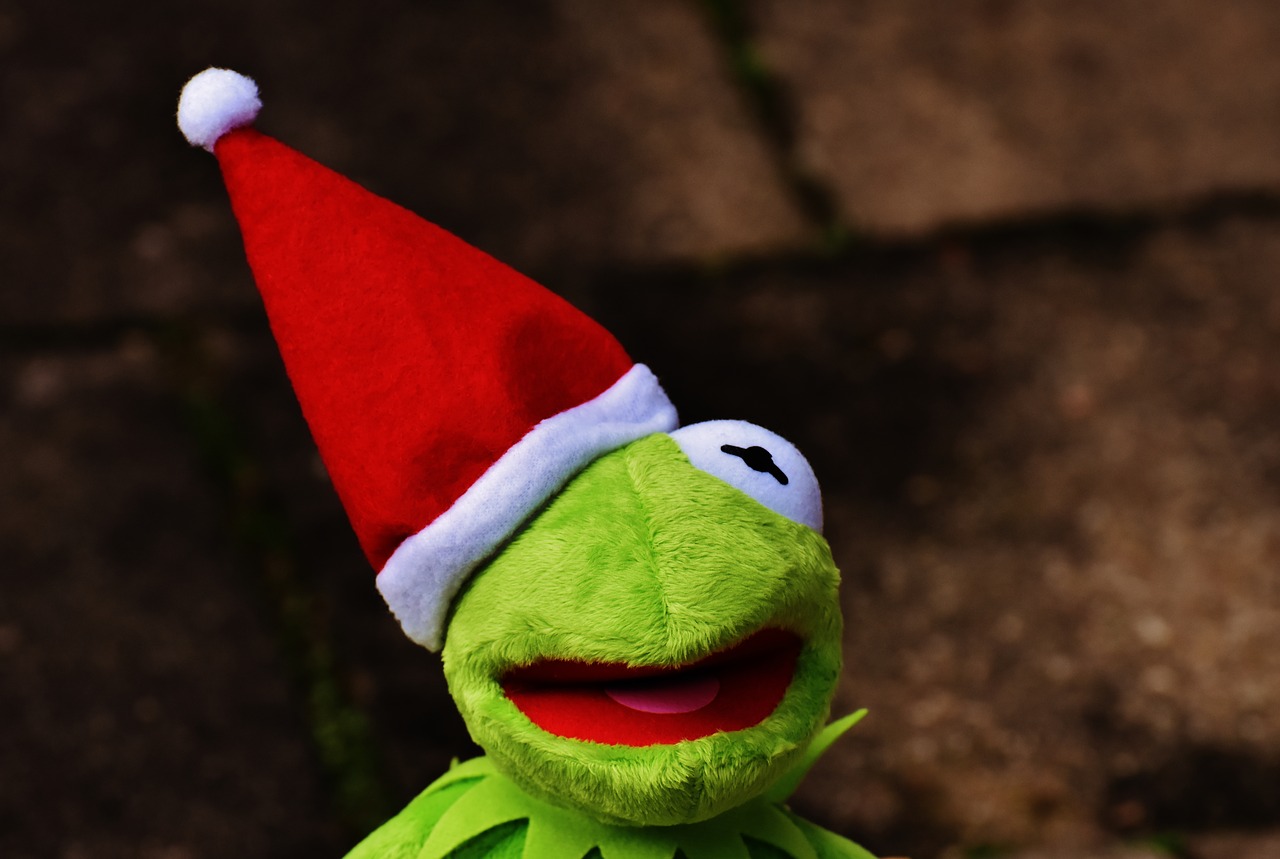 Image - kermit frog christmas santa hat