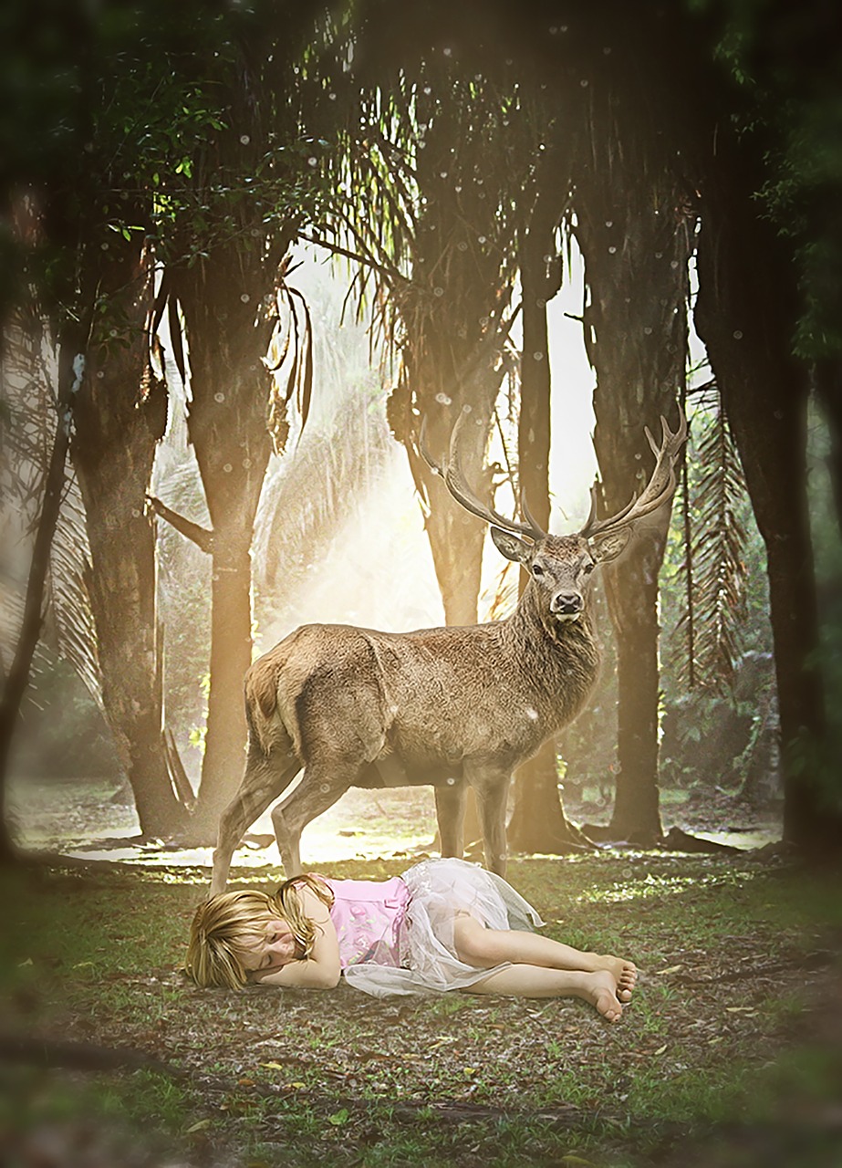 Image - deer jungle animal nature river