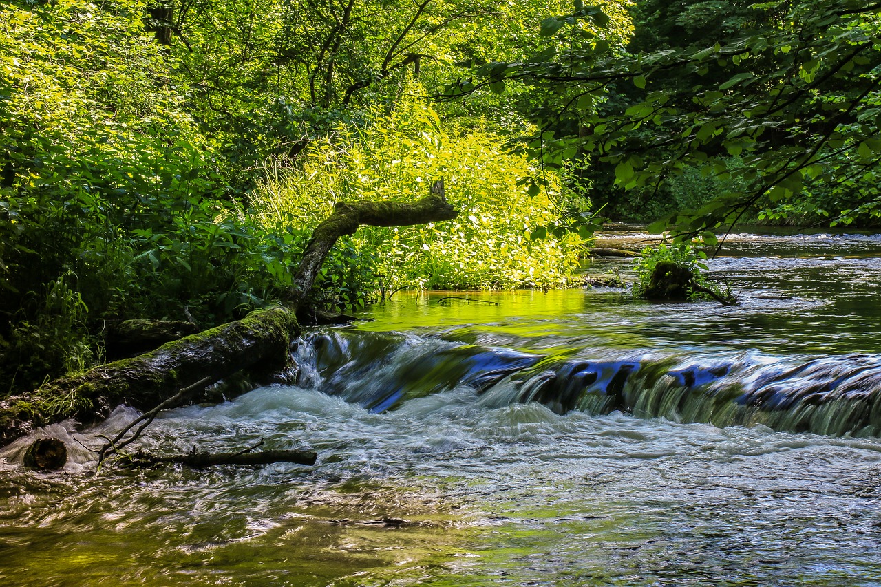 Image - river cascade water nature forest