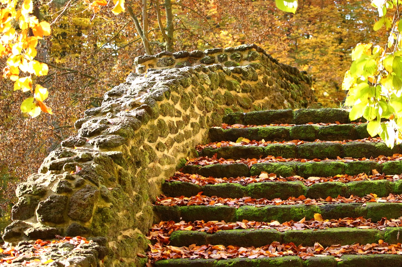 Image - autumn stairs fall foliage