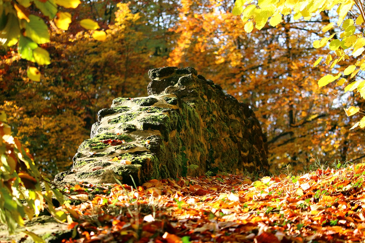 Image - autumn stone wall fall foliage