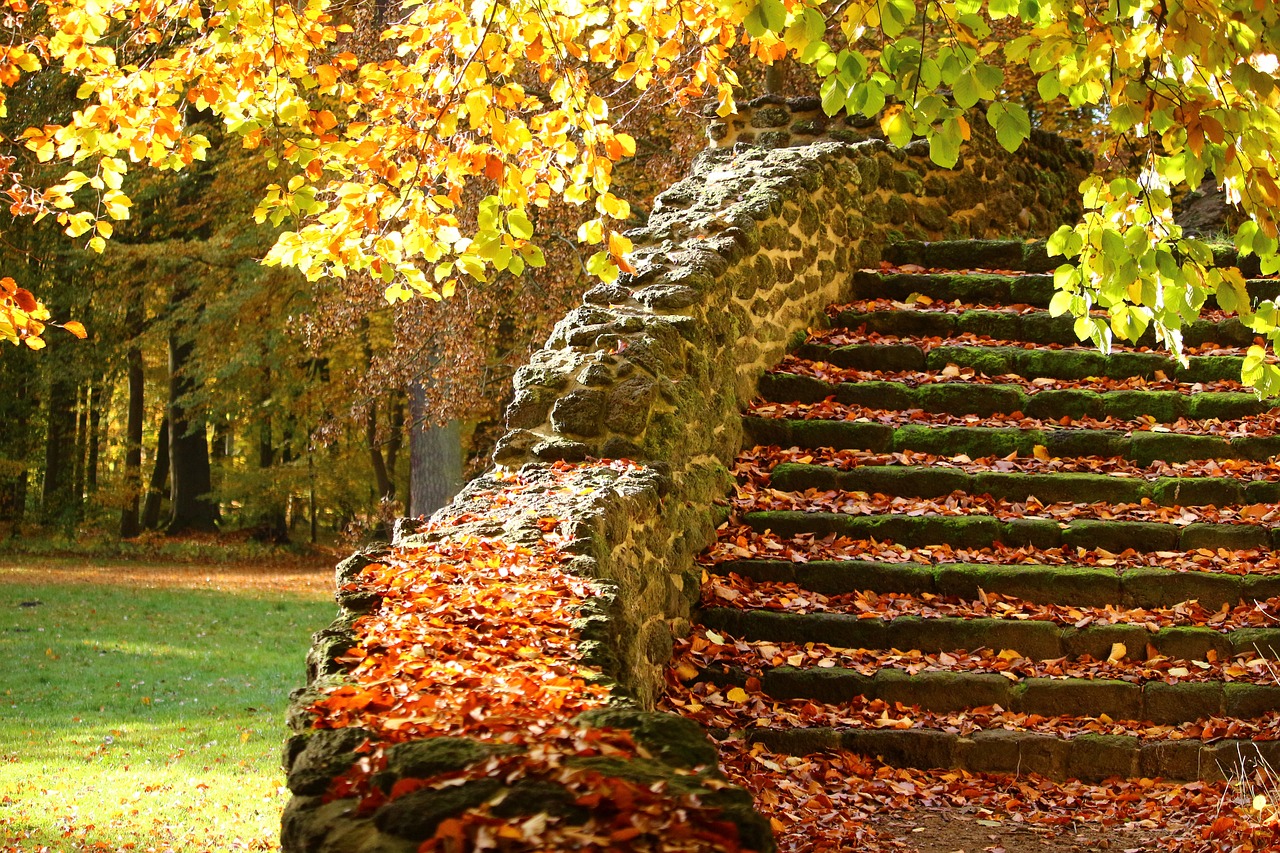 Image - stairs stone steps autumn gradually