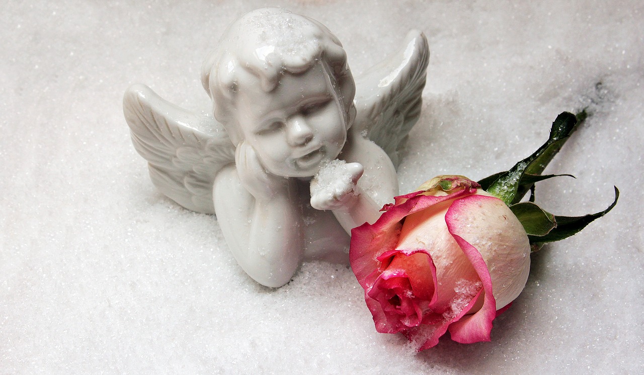 Image - angel angel figure rose snow