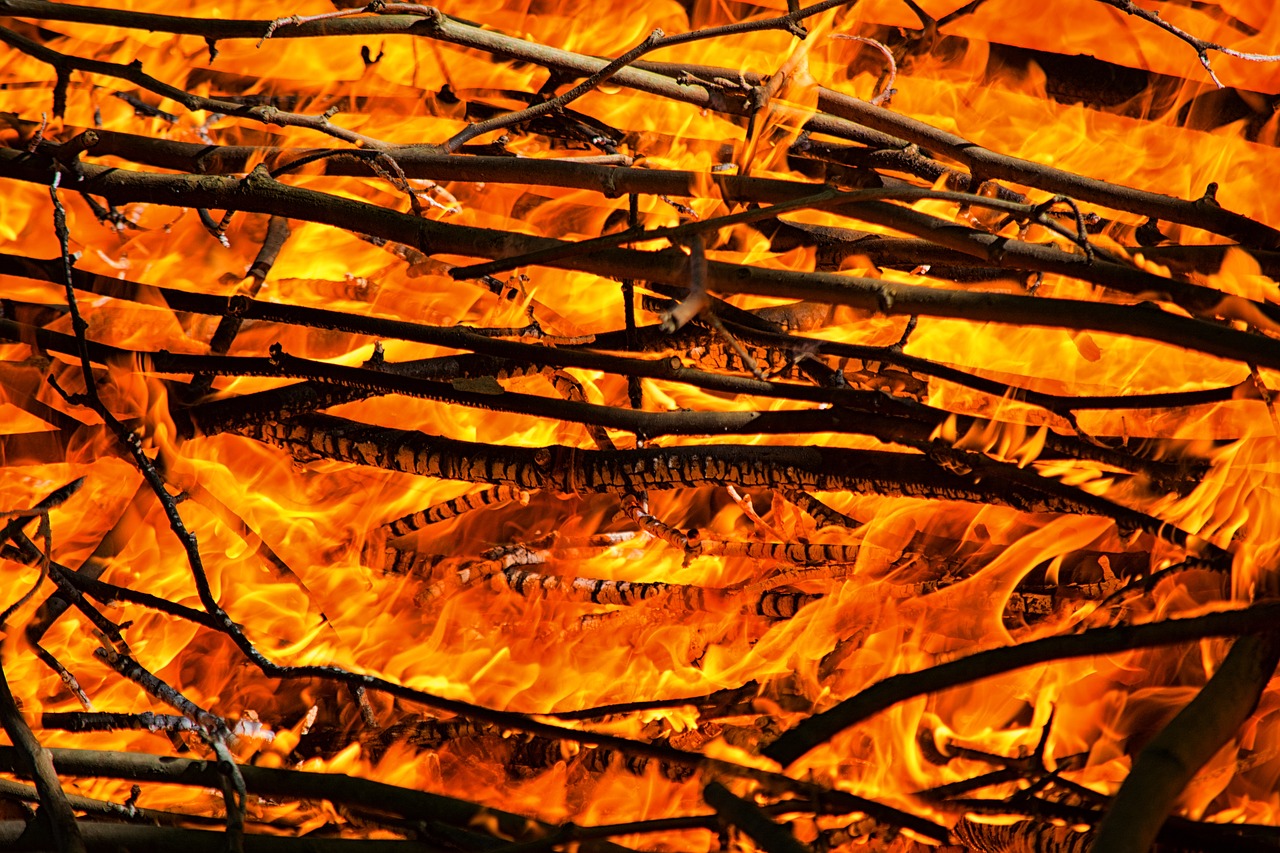Image - fire flames campfire heat lena