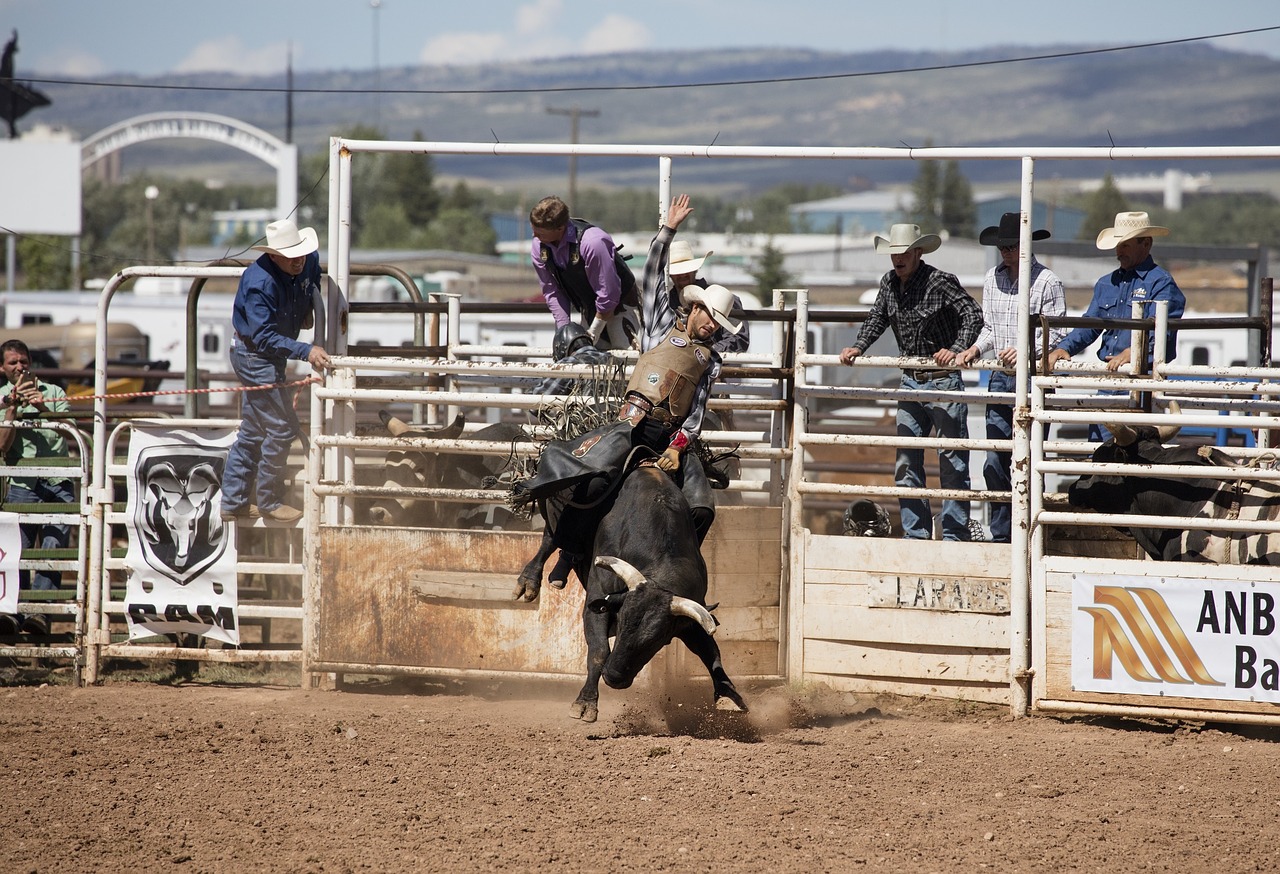 Image - rodeo cowboy bull riding west