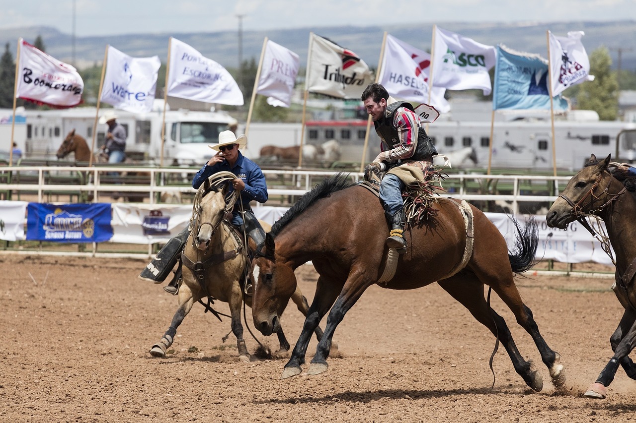 Image - cowboys bronc rider rodeo bronco