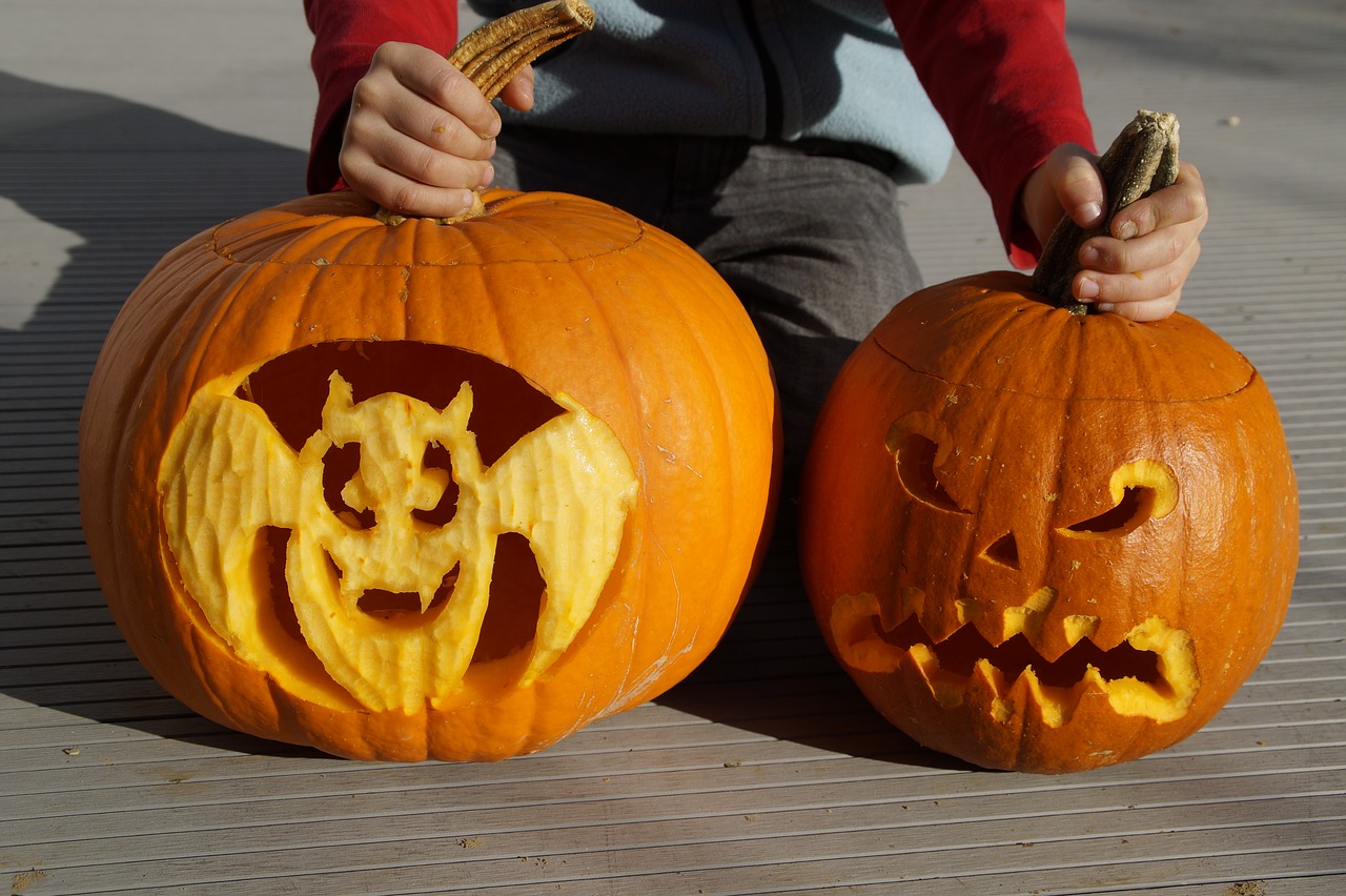 Image - bat halloween pumpkin pumpkin ghost