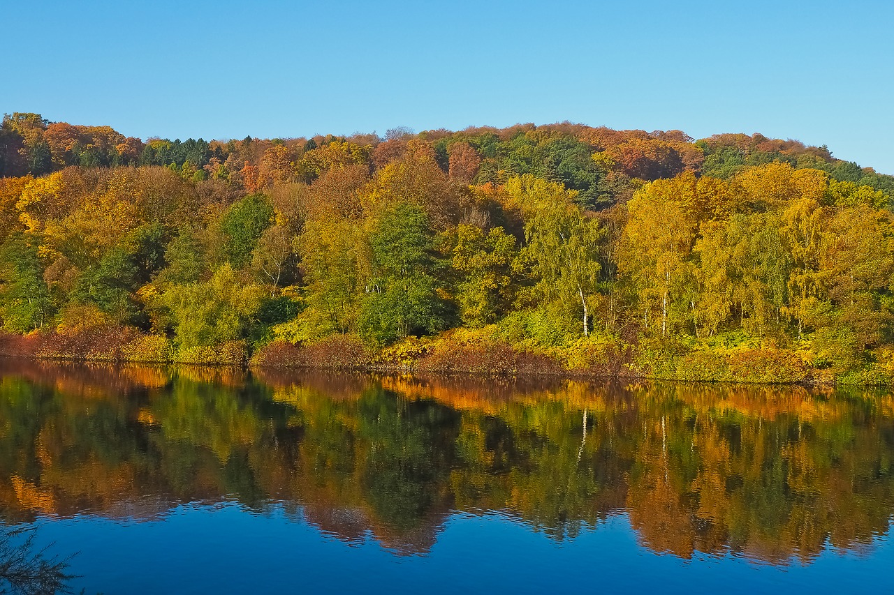 Image - lake autumn nature trees landscape