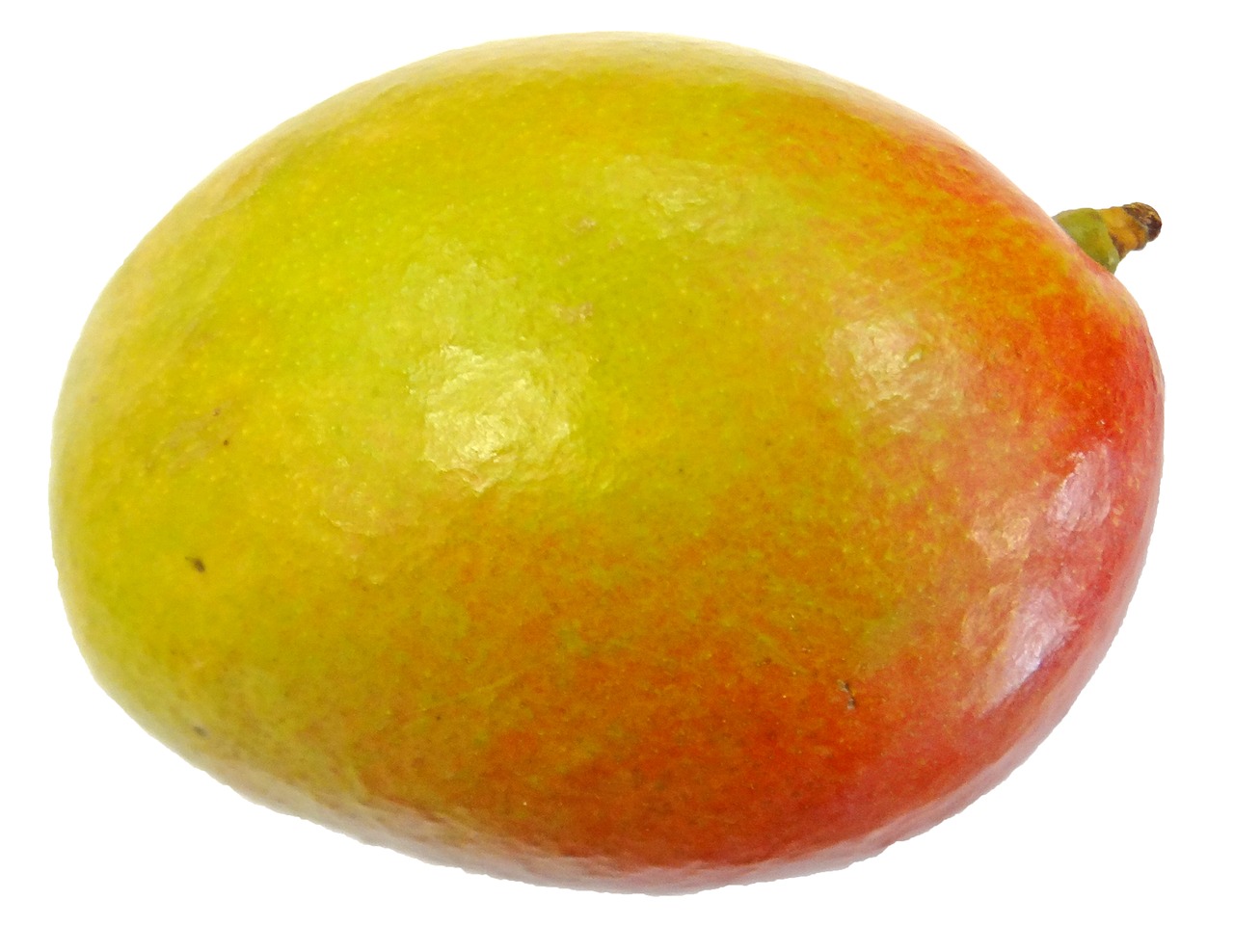 Image - fruit mango food melon organic