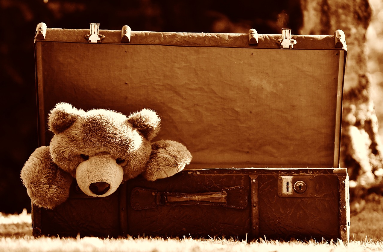 Image - luggage antique teddy sepia