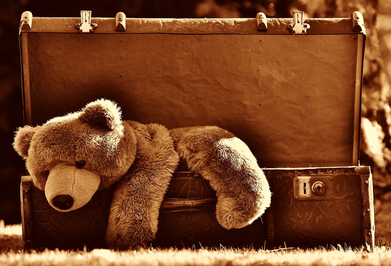 Image - luggage antique teddy sepia