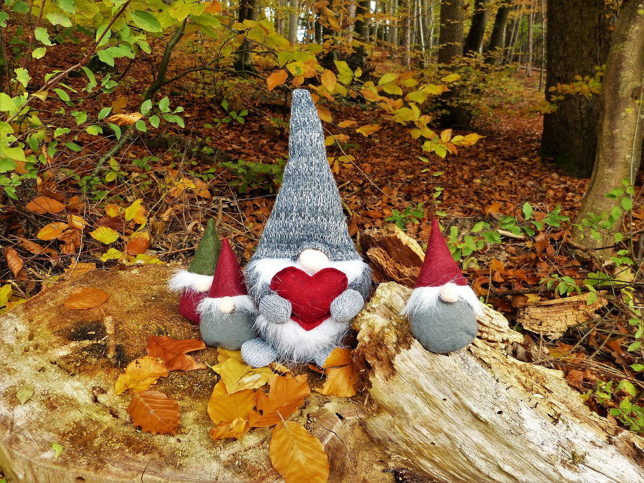 Image - dwarfs gnome forest autumn imp