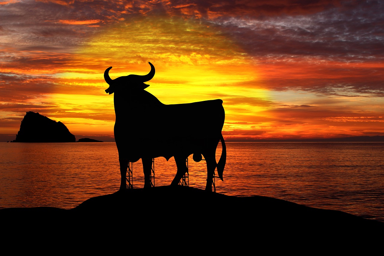 Image - osborne bull spain summer sea