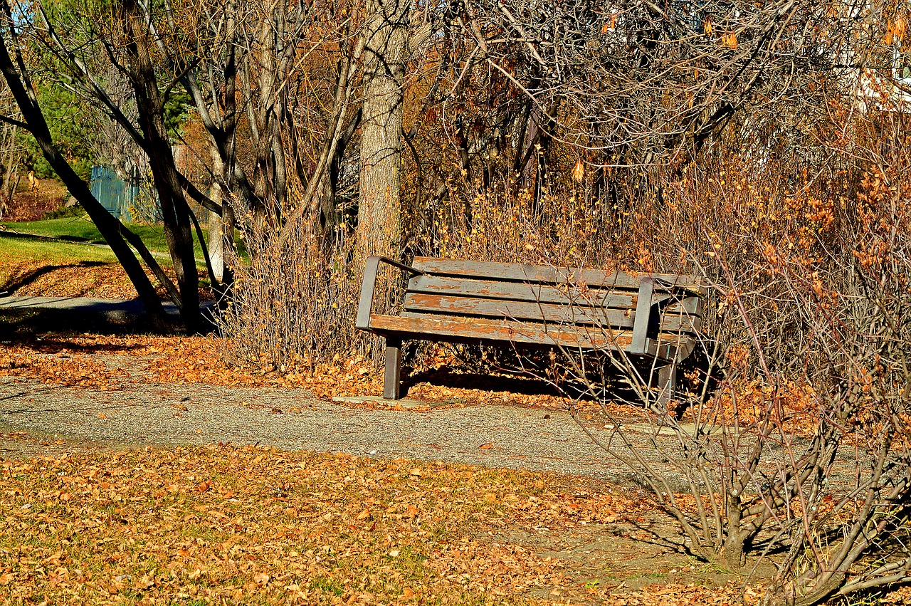 Image - park bench rustic autumn tree