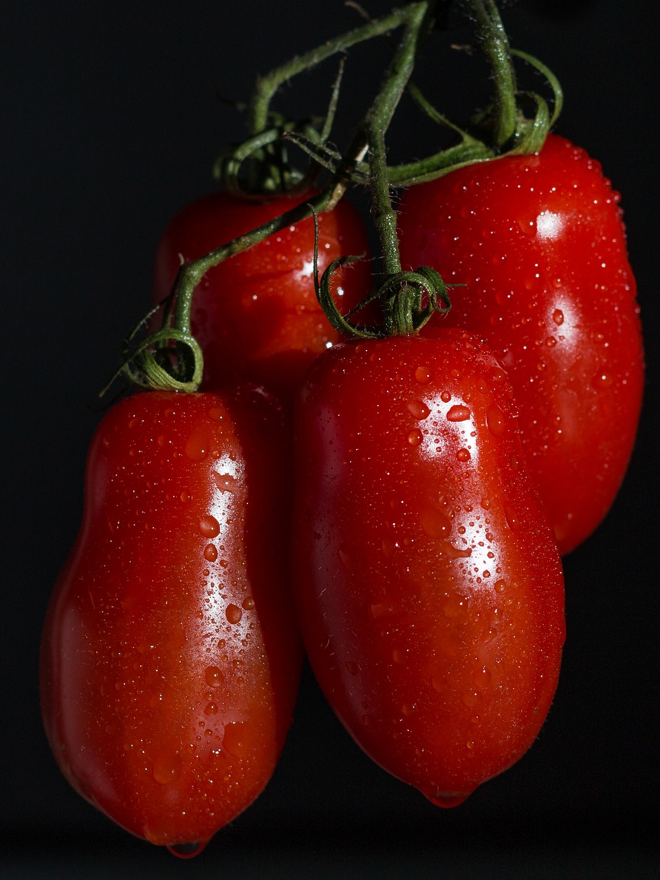 Image - red tomato vegetables food trusses