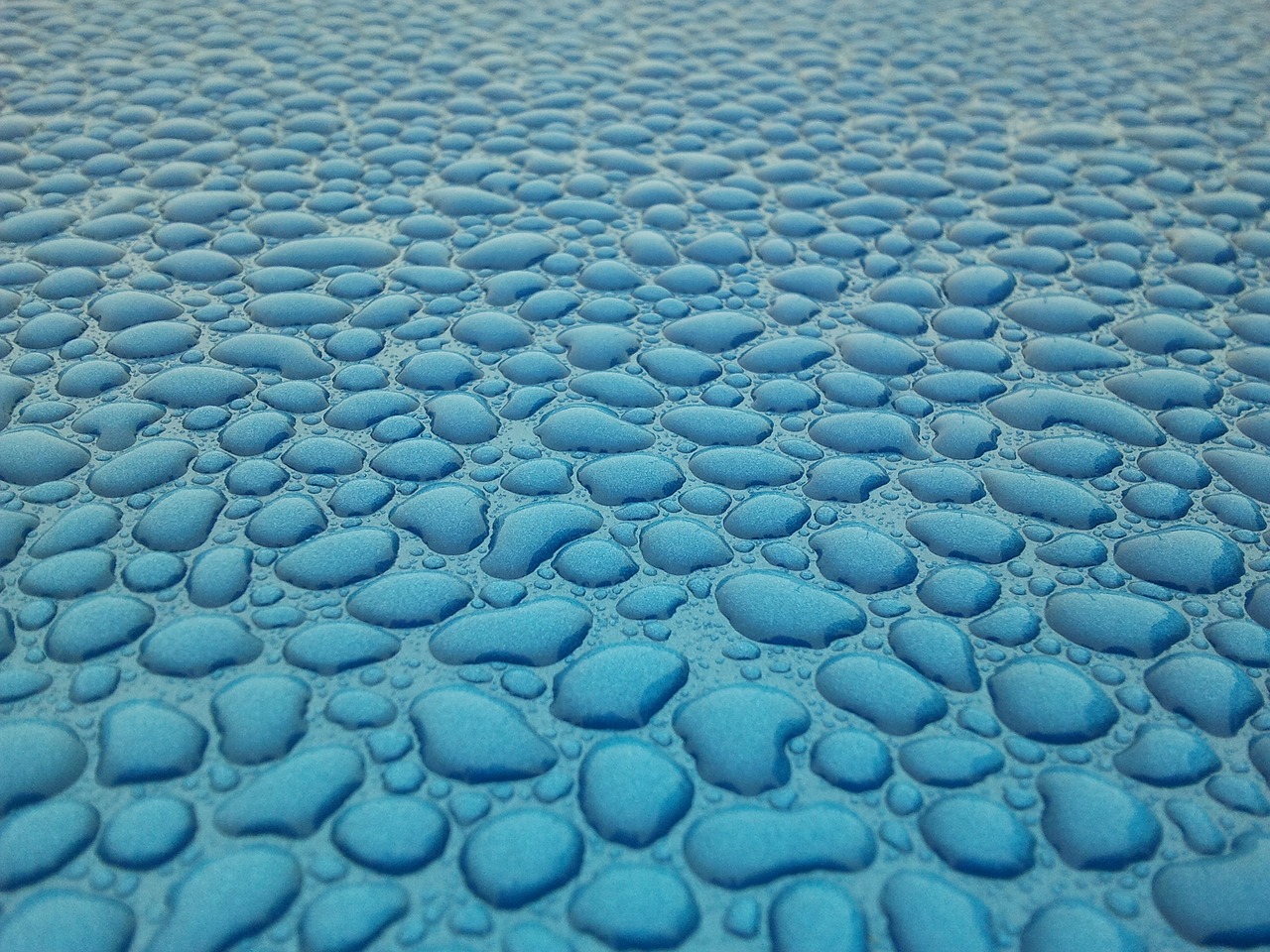 Image - waxed wet auto waxing vehicle