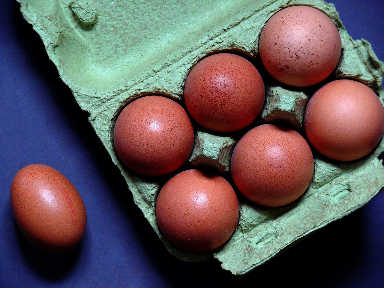 Image - egg egg carton chicken eggs food