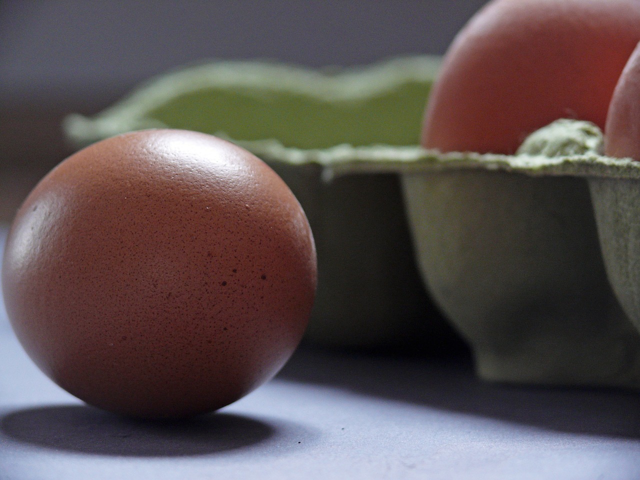 Image - egg egg carton chicken eggs food