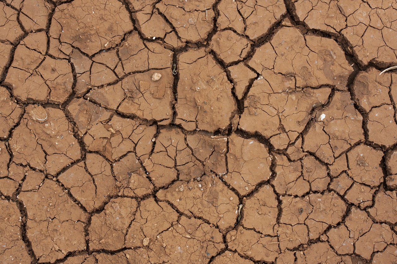 Image - desert dirt dry cracked mud terry