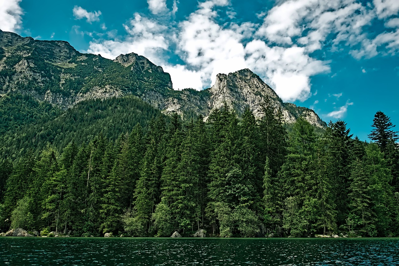 Image - washington landscape scenic forest