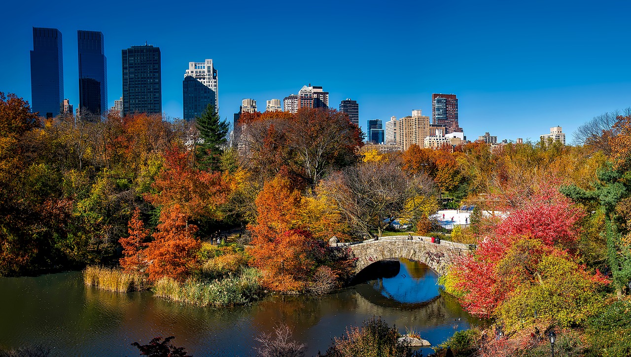 Image - central park new york city urban