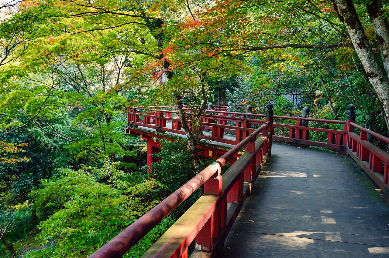 Image - japan landscape natural outdoors