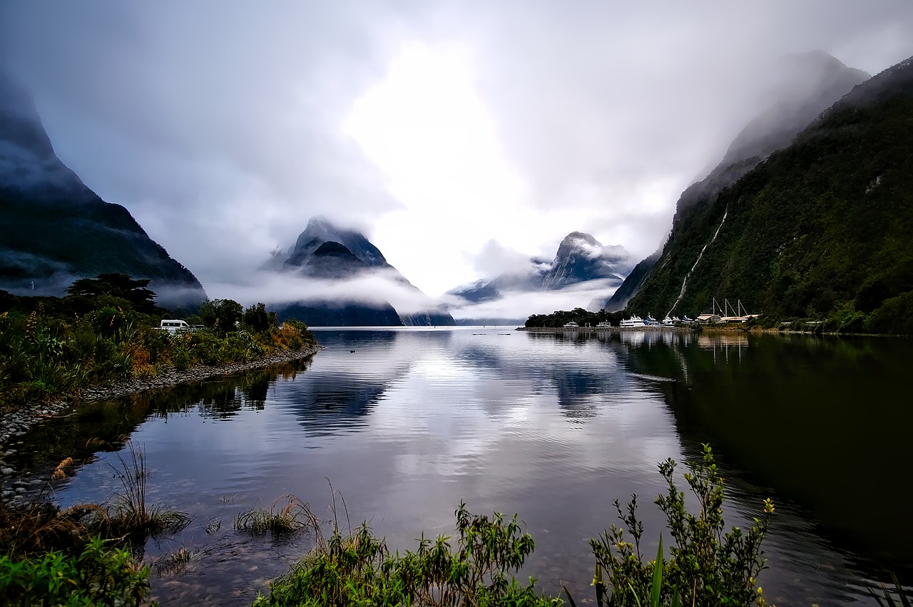 Image - new zealand landscape fog morning