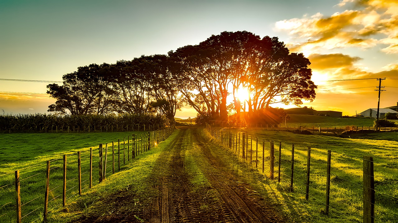 Image - new zealand landscape scenic nature