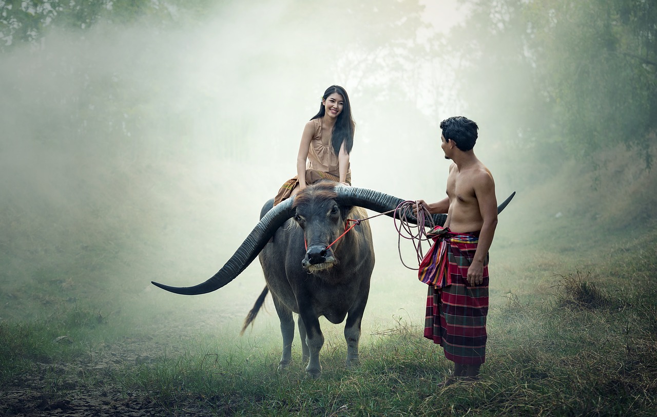 Image - talented people animals asia pair