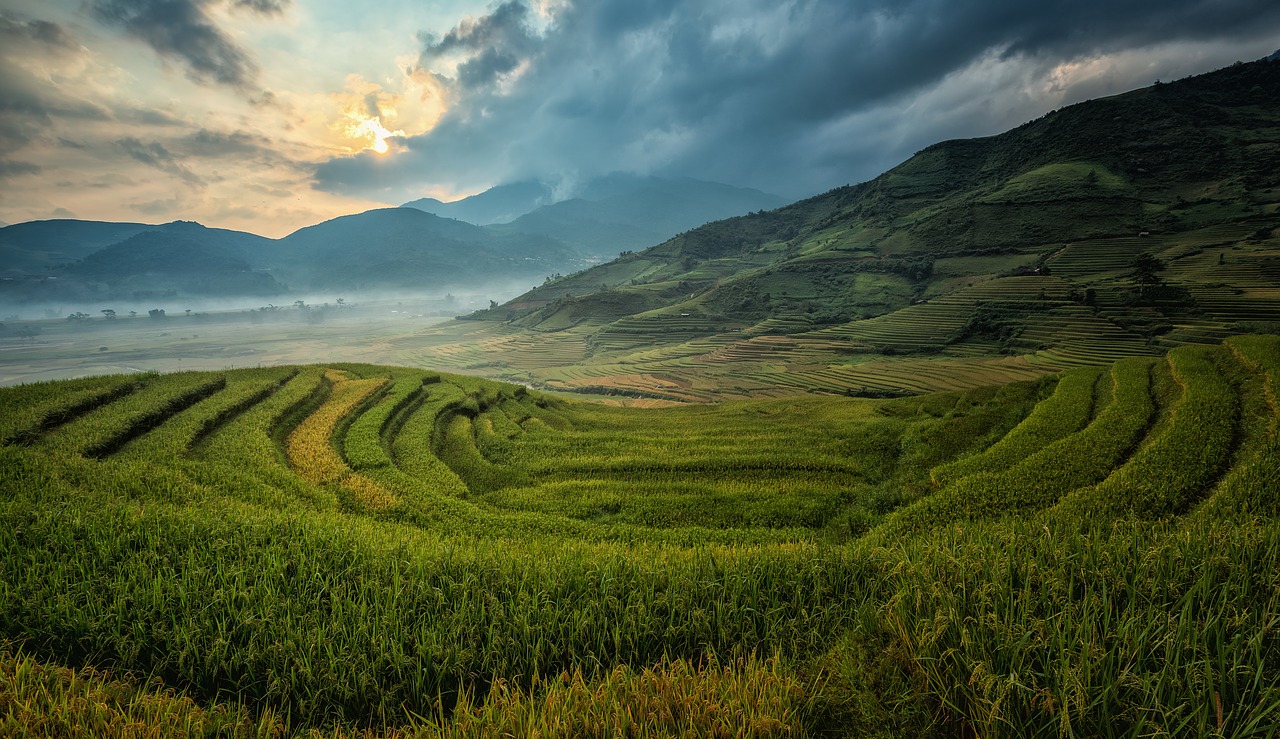 Image - agriculture asia cat china cloud