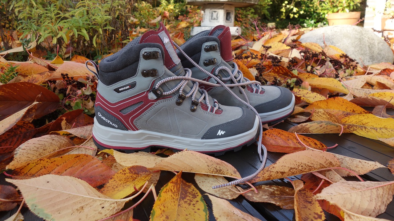 Image - shoe walking shoes autumn season