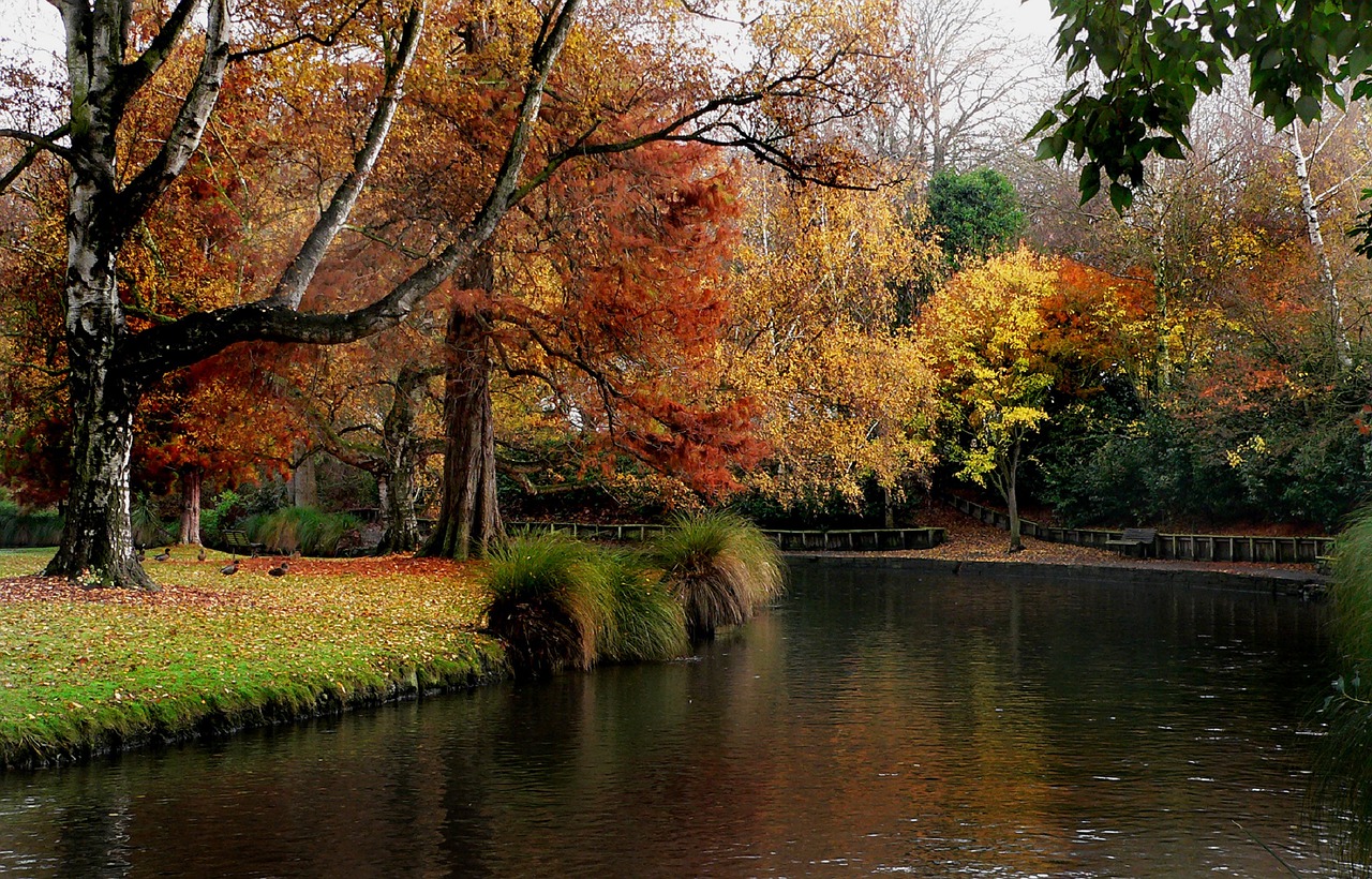 Image - landscape scenic calm tranquil